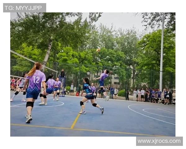 排球战术评比揭晓北京排球队荣登榜首引发热议