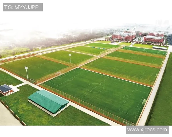 武汉足球队的崛起与发展:探索城市足球文化的深厚底蕴与未来愿景